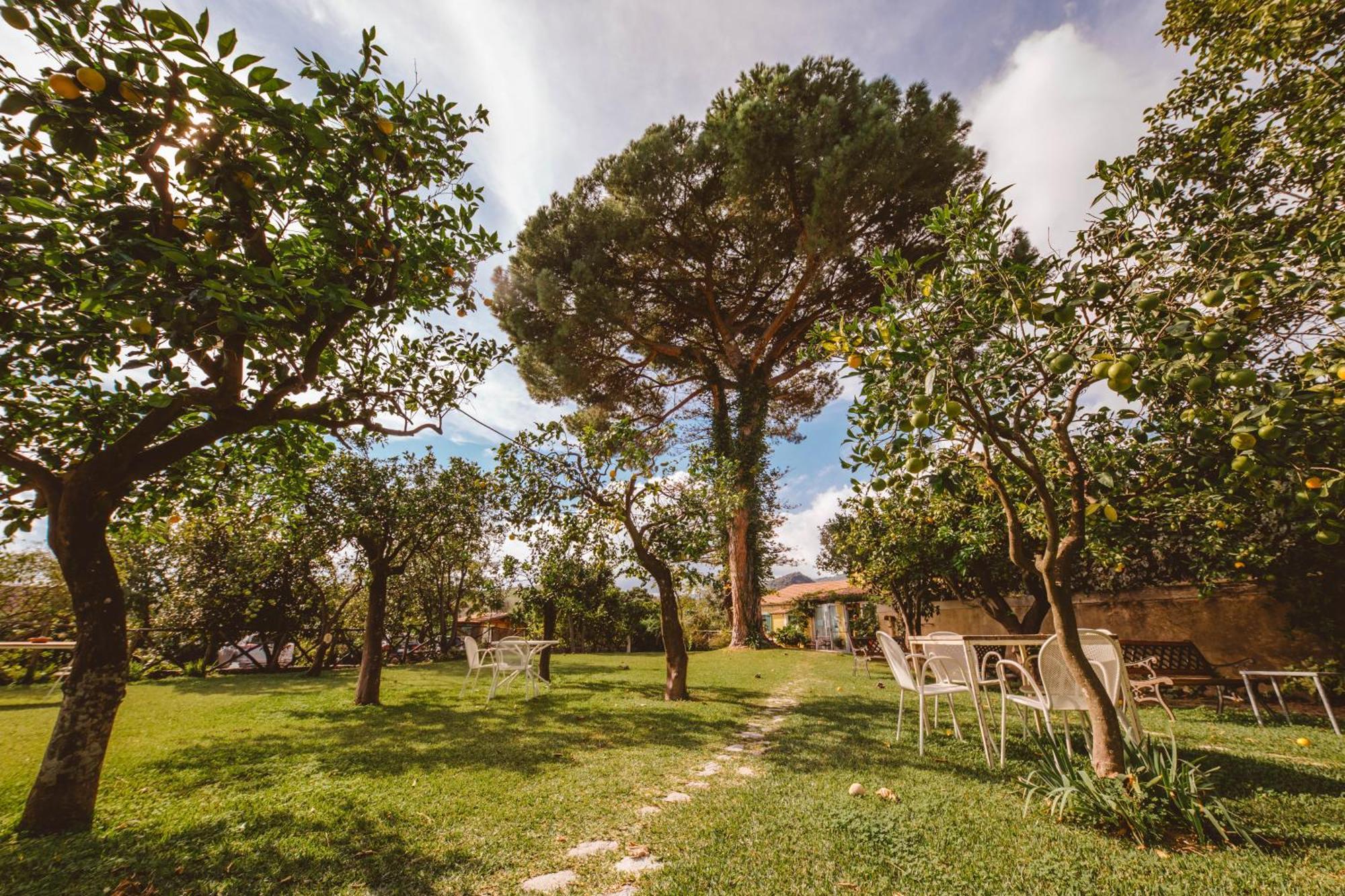 Agriturismo Villa Vittoria Guardavalle Exterior photo